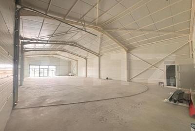 Spațiu comercial, de 320 mp, în Central - 5