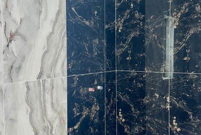 Casă cu 4 camere cu Teren 1200 Mp în Copăcelu - 13