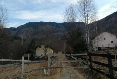 Teren de 526 mp, în Malaia - 3