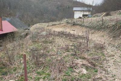Teren de 918 mp, în Râșca - 5