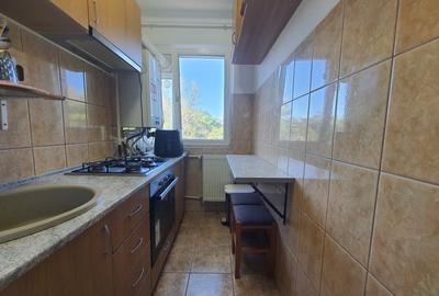 OCAZIE!!! INEL II-SALVARE APARTAMENT CU 2 CAMERE CENTRALA PE GAZE - 10