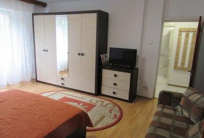 Inchiriere Garsoniera Metrou Piata Iancului Inchiriere Garsoniera Metrou Piata Iancului - 13