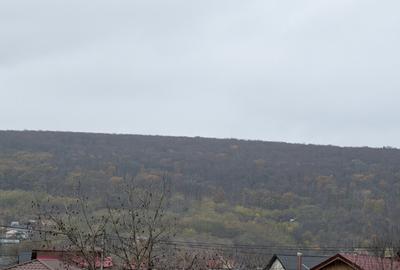 Loca?ie exclusivista ! Fii vecin cu padurea! - 5