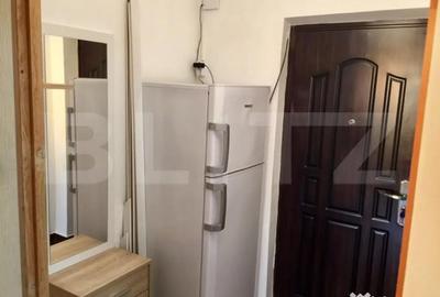 Garsonieră semidecomandată, mobilată în Brazda lui Novac - 1