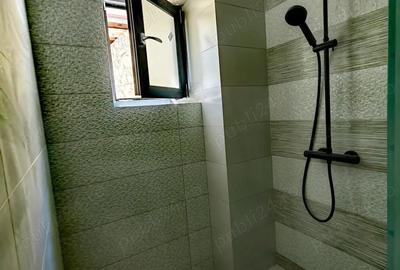 Spațiu comercial, în Geamăna - 1