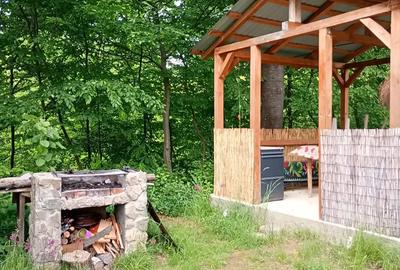 Casă cu 2 camere în Sibișel (Beriu) - 5