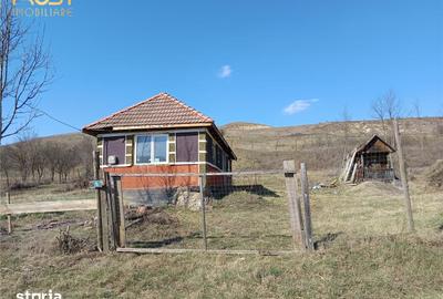 Casă cu 2 camere cu Teren 2698 Mp în Cătina - 6