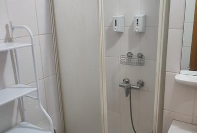 Garsonieră semidecomandată în Banu Manta - 6