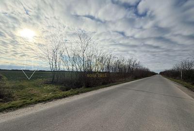 Teren de 6600 mp, în Lazuri - 6