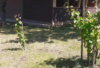Casă cu 2 camere în Moșteni - 4