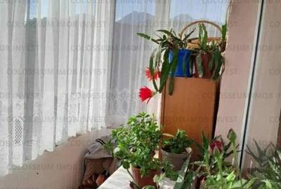 Apartament 2 camere, decomandat - zona Noua - 6