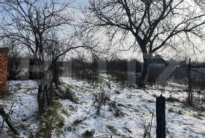 Casă individuală cu 2 camere cu Teren 1426 Mp în Malu Mare - 5