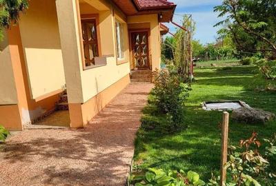 Casă cu 6 camere cu Teren 2500 Mp în Fulga - 6