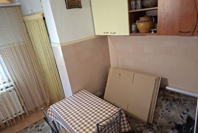 Apartament cu 2 camere semidecomandat în Prundu - 9