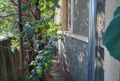 Casă cu 3 camere în Miersig - 8