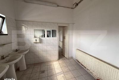 Spațiu comercial, de 3,000 mp, în Careiului - 1