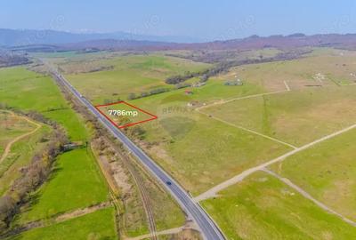 Teren de 7786 mp, în Vlădeni - 3