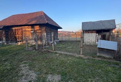 Casă cu 3 camere cu Teren 4000 Mp în Central - 13