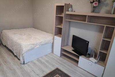 Inchiriez apartament cu o camera in Oradea, Cartier Iosia - 9