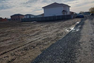 Spațiu comercial, în Moșnița Veche - 5