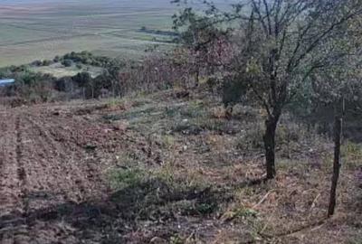 Casă cu 3 camere cu Teren 2500 Mp în Băneasa - 6