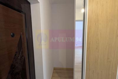 Apartament cu 2 camere semidecomandat în Pantelimon - 2