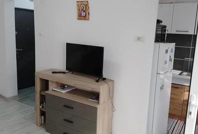 Garsonieră semidecomandată în Exterior Vest - 1