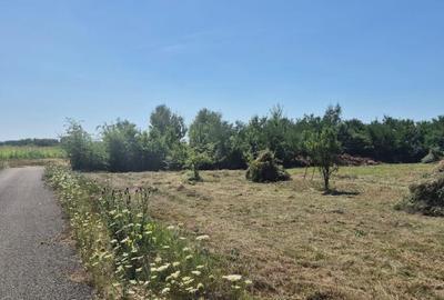 Merisor, 30 ari teren parcelabil - 7