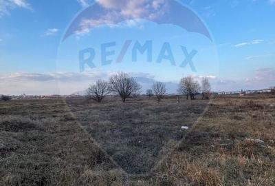Teren Sibiu / Strand II - Campsor - 6