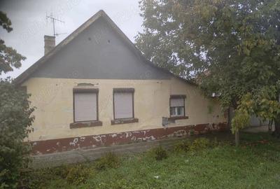 Casă în Pecica - 2