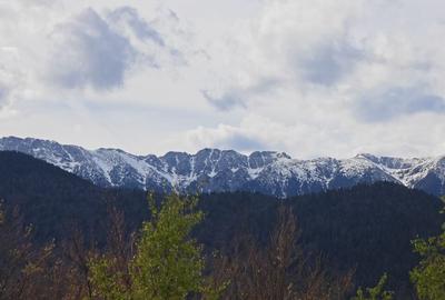 PESTERA CASA DE VANZARE - MOECIU! - 2