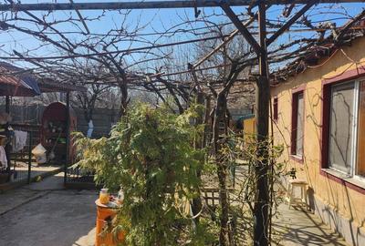 Casă individuală cu 3 camere cu Canalizare în Anda - 4