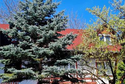 In Vintage style, cu acces auto in curte proprie, zona Star - Centrul Istoric, Brasov - 1