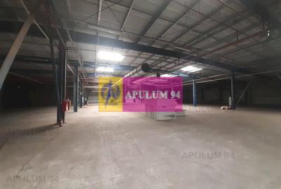 Spațiu industrial, de 4,850 mp, în 1 Decembrie - 60