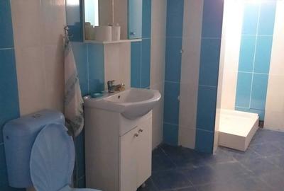 Casă cu 4 camere în Polovragi - 4