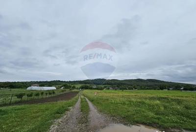 Teren de 1495 mp, în Dobreni - 3