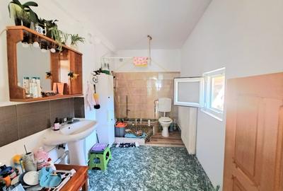 Casa individuala spatioasa, renovata total pe parter I Recas - 18