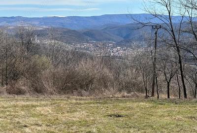 Teren de 9220 mp, în Periferie - 2