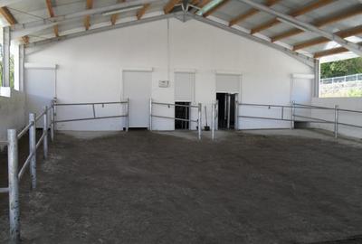 Ferma Zootehnica la standarde Europene - 7