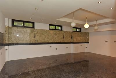 Cotroceni, cladire de birouri avizata ISU Cotroceni, cladire de birouri avizata ISU - 4