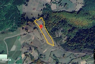 Teren de 20340 mp, în Crizbav - 5