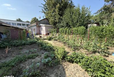 Casă cu 3 camere cu Teren 314 Mp în Central - 3