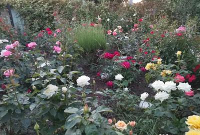 Teren de 1128 mp, în Central - 4