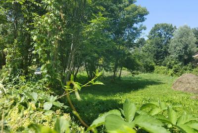 Teren de 1035 mp, în Central - 6