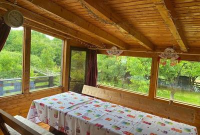 Casă în Satu Nou de Jos - 2