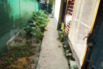 Casa, zona Balcescu-Elisabetin - 13
