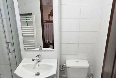 Garsonieră în Astra - 4