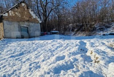 Teren de 79000 mp, în Central - 5