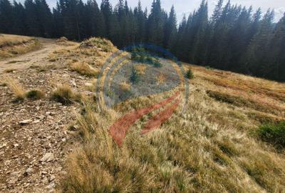 Teren Construcții intravilan de 1000 mp, în Central - 6