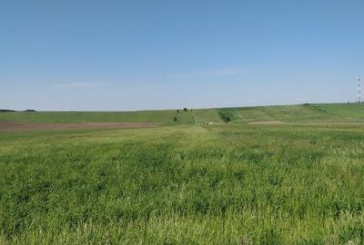 Teren Construcții extravilan de 18000 mp, în Feldioara - 5